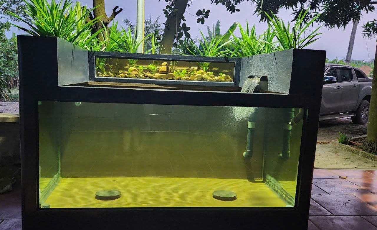 Untitled (6) Untitled 6 1