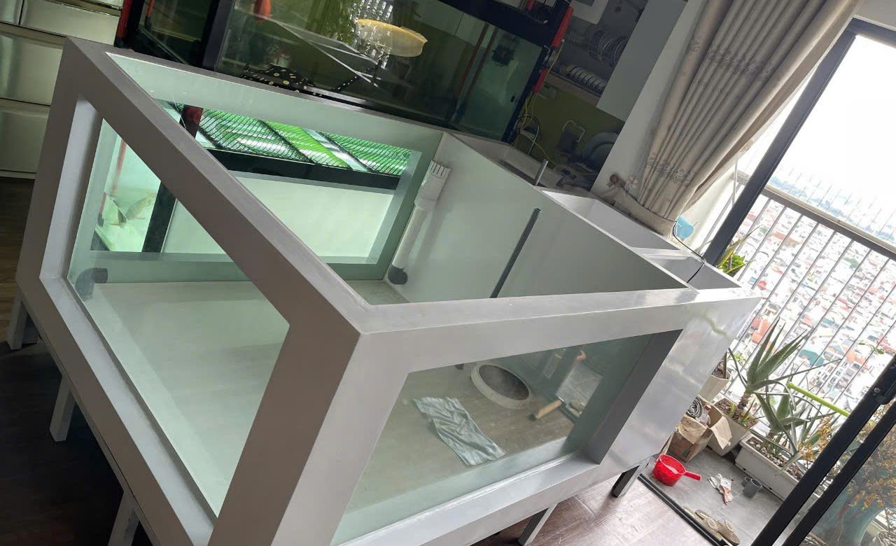 Untitled (7) Untitled 7 1