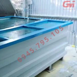 Bể 2 Mặt Kính (270x220x85): Điểm Nhấn Đẳng Cấp Cho Mọi Không Gian 3 z6599012879699 787ec3e22a05897a21f40a3e24bc9e56