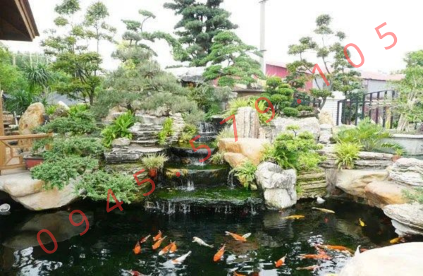 Bể Cá Koi Sân Vườn - Tai Nghệ An ht 1