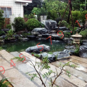 Bể Cá Koi Sân Vườn Phong Cách Bán Hiện Đại - Tại Hà Tĩnh