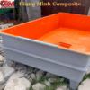 Bể Nuôi Lươn Không Bùn FRP 300x150x40 | Giang Minh Composite 3 8