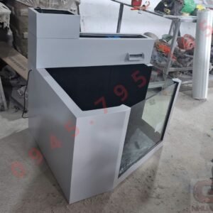 be ca mini composite kinh cuong luc giang minh loc tran tren.jpg