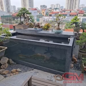 Hình ảnh tổng quan hồ cá Koi lắp ghép bằng vật liệu composite FRP đặt trên không gian sân thượng ngập nắng